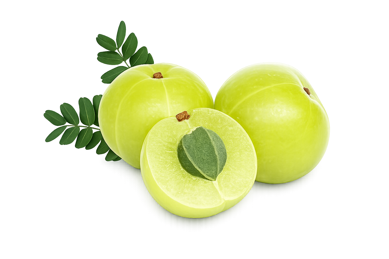 Amalaki (Amla)