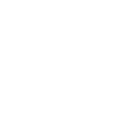 social icon 1